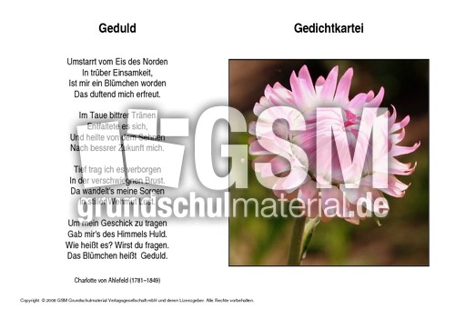 Geduld-Ahlefeld.pdf